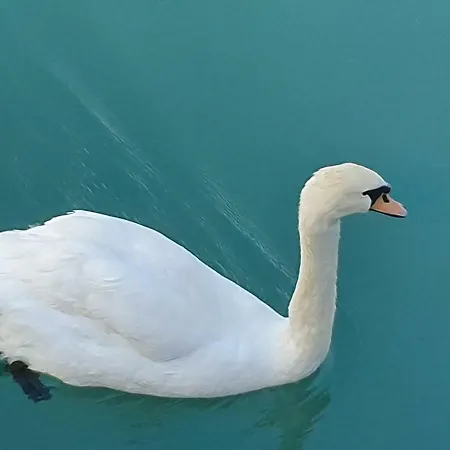Garda Felice Desenzano del Garda